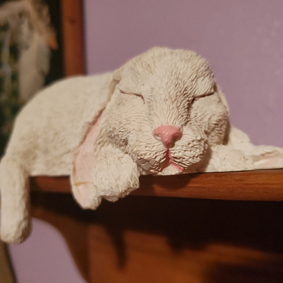 Sleeping Bunny - Picture 2 of 3